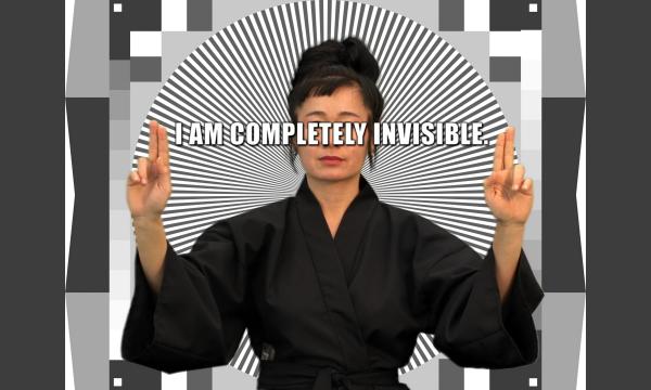 An Installation of Hito Steyerl's How Not to be Seen: A F**king Didactic Educational .MOV File